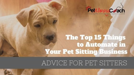 The Top 15 Things to Automate in Your Pet Sitting Business