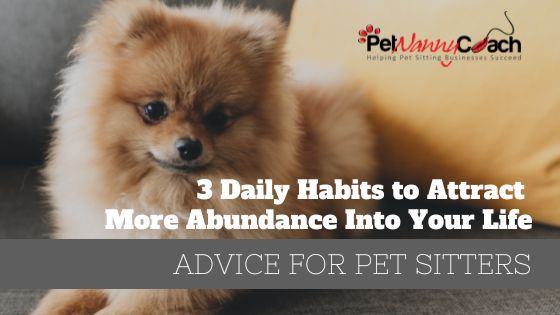 3 Daily Habit to Attract More Abundance Into Your Life