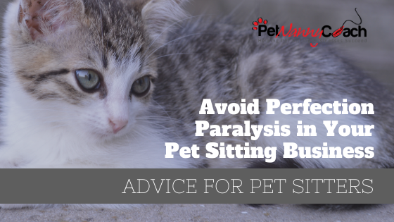 TITLE - Avoid Perfection Paralysis in Your Pet Sitting Business