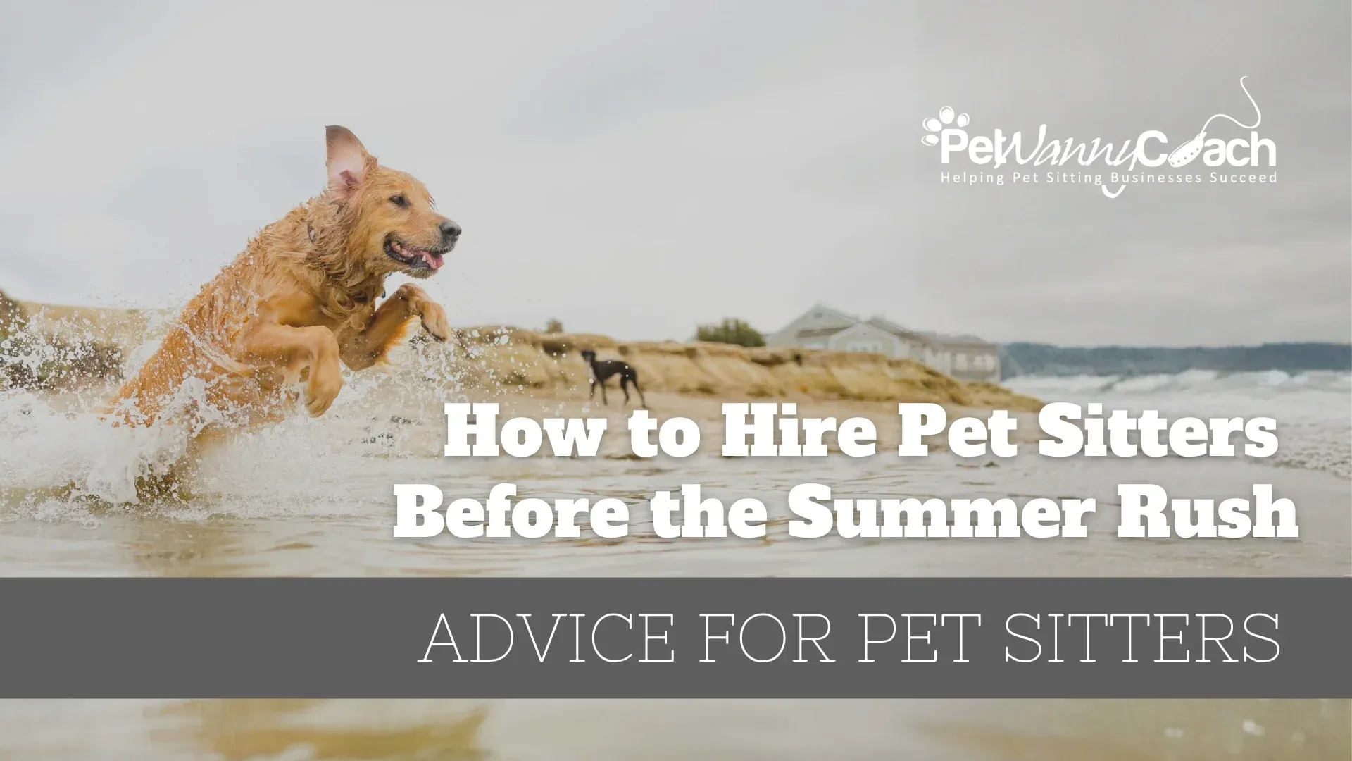 How to Hire Pet Sitters Before the Summer Rush (And Actually Get It Right)
