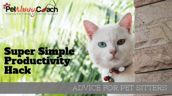 Productivity Hack for your pet sitting business