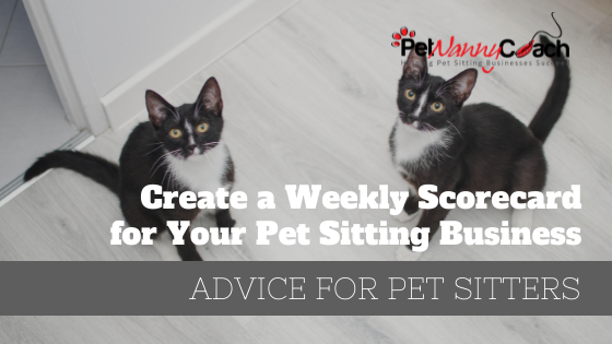 Create a Weekly Scorecard for Your Pet Sitting Business