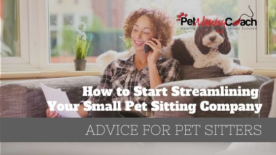 How to Start Streamlining my Small Pet Sitting Company