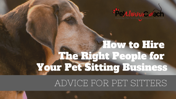 How to Hire the Right People for Your Pet Sitting Business