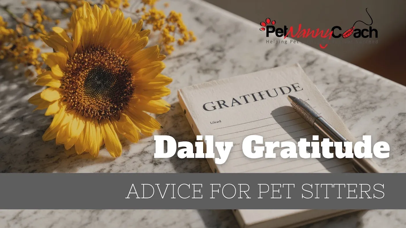 Daily Gratitude