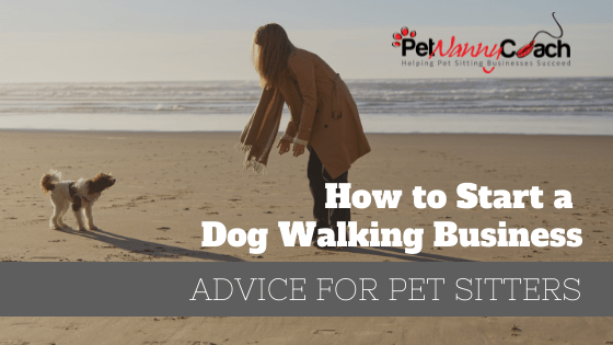 How to Start a Dog Walking Business