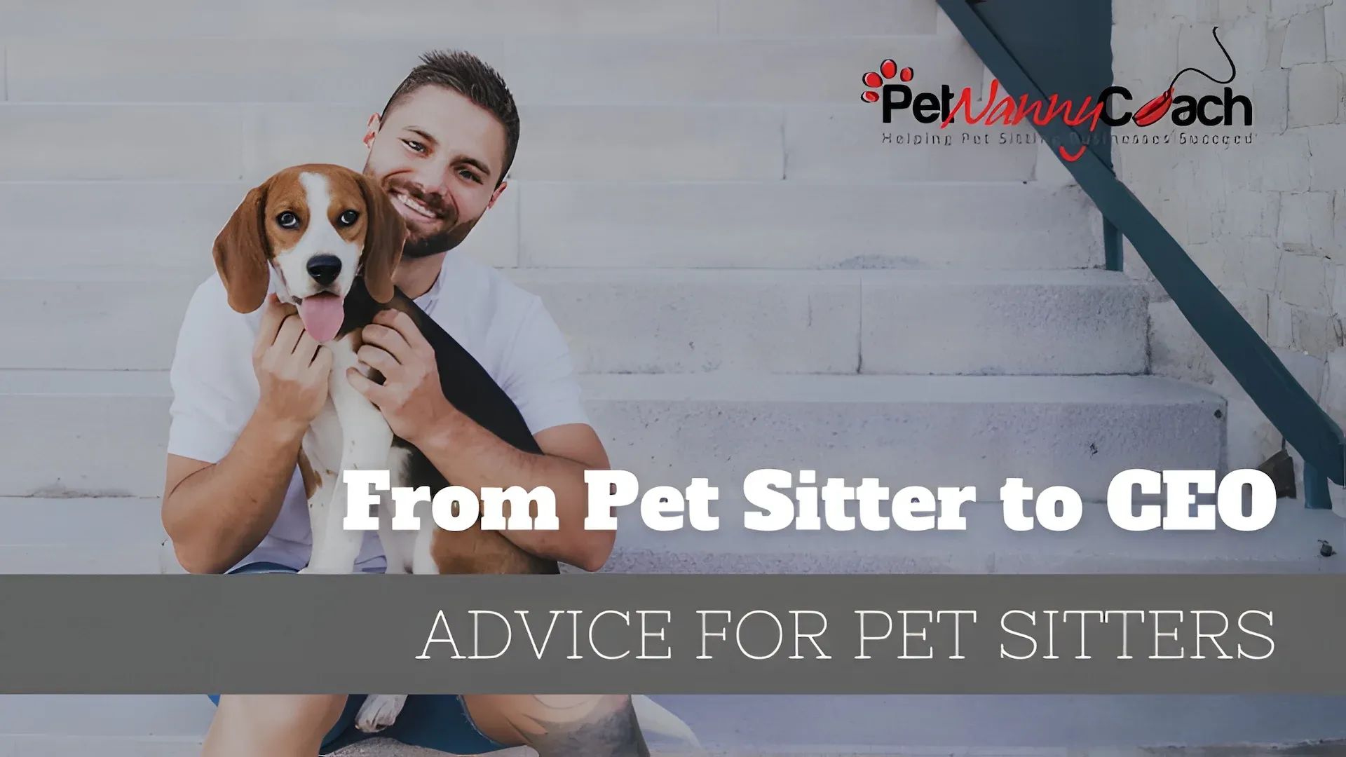 Pet Sitter to CEO