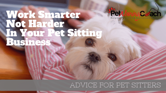Work Smarter Not Harder In Your Pet Sitting Business