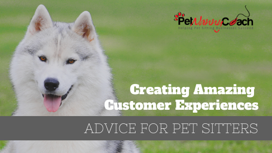 Amazing Customer Experiences