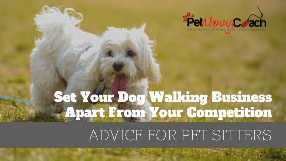 Set Your Dog Walking Business Apart From Your Competition