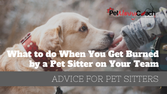 What to do When You Get Burned by a Pet Sitter on Your Team