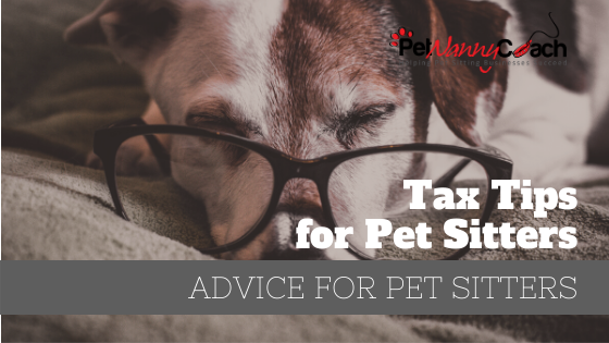 Tax Tips for Pet Sitters