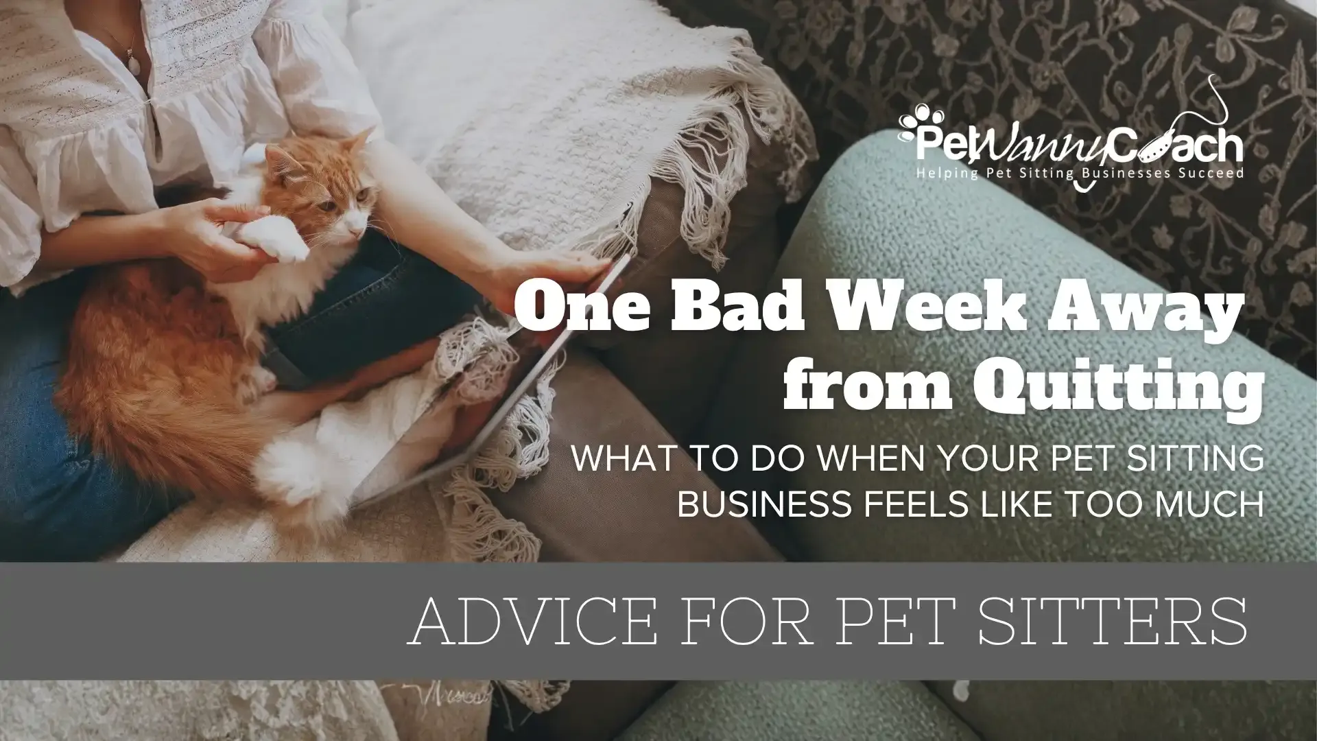 One Bad Week Away from Quitting: What to Do When Your Pet Sitting Business Feels Like Too Much