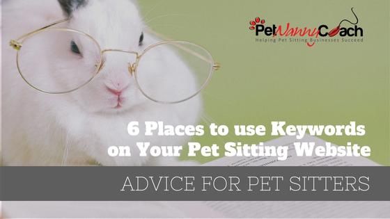 6 Places to use Keywords on Your Pet Sitting Website