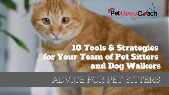 10 Tools & Strategies for Your Team of Pet Sitters and Dog Walkers