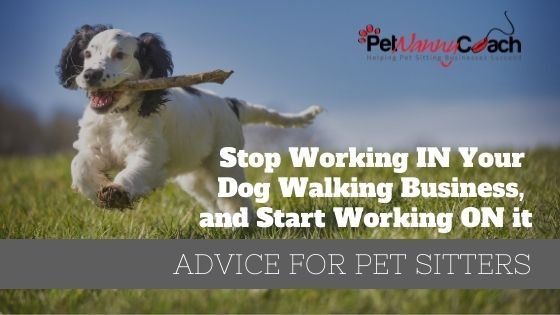 Work ON Your Dog Walking Business, Just Not IN it