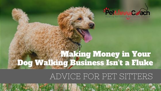 Making Money in Your Dog Walking Business Isn't a Fluke